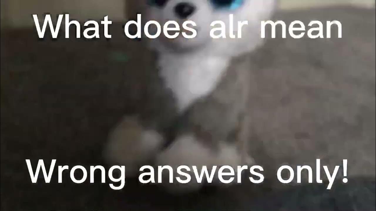 What does alr mean wrong answers only! YouTube