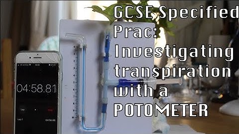 Investigating transpiration with a photometer | GCSE Spec Prac
