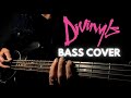Pleasure and Pain - Divinyls (Bass Cover) #divinyls