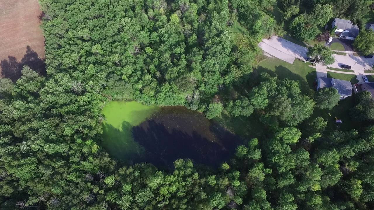 Birchwood Hills Nature Preserve YouTube