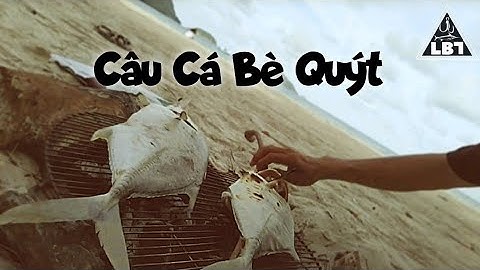 Câu Cá Biển Côn Đảo Đầy Bất Ngờ Và Cảm Giác