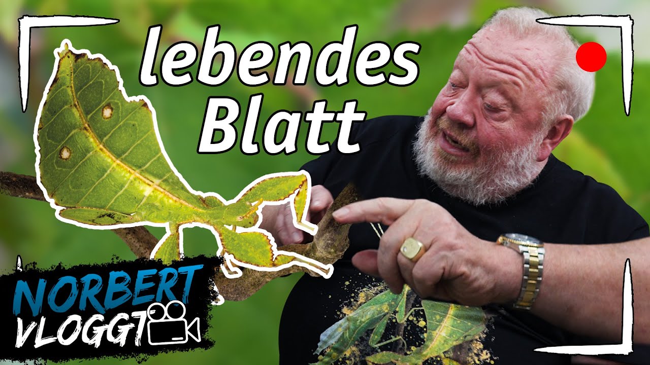 WANDELNDE BLÄTTER | NORBERTS WELT | Zoo Zajac
