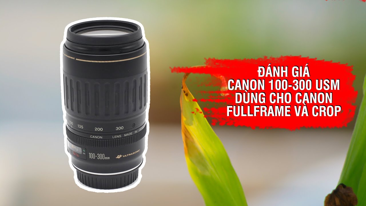 Canon 100-300 USM Review - Affordable Versatile Telephoto Zoom