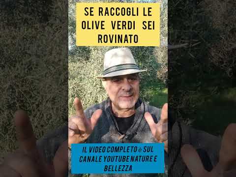 #olio #olive Differenza