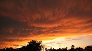 Temps to soar into 80s in Orlando area