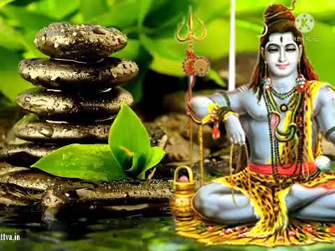 ANALAI VIZHANGUM Sivan bhakthi padagal  Sivan padal Best Tamil devotional songs