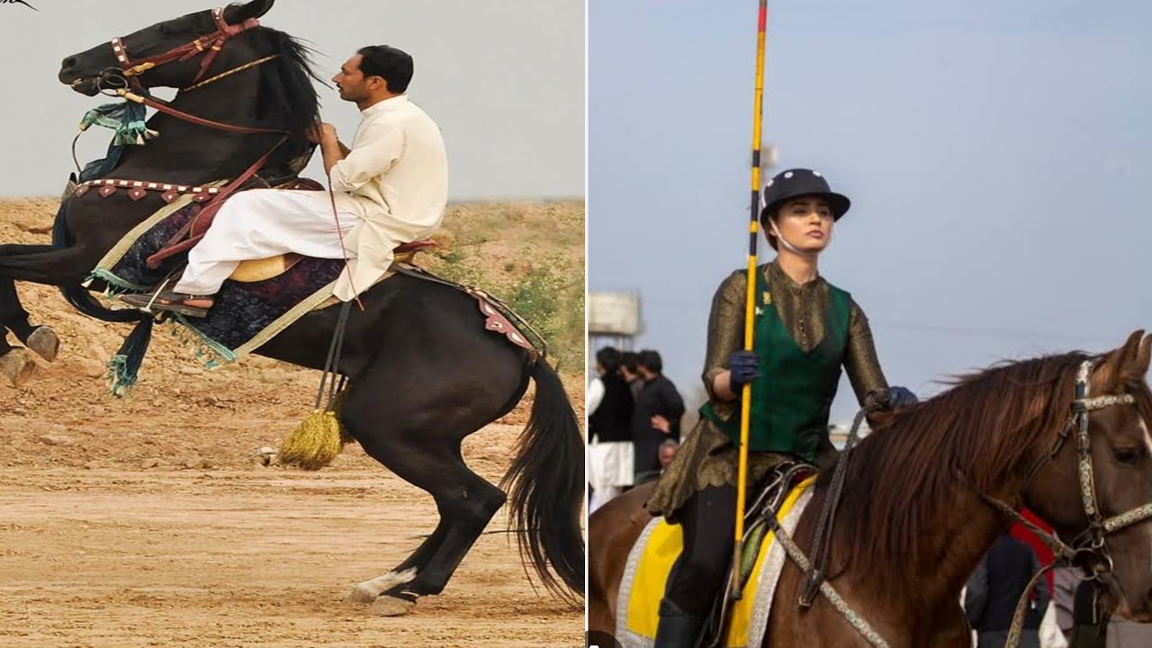 Neza Bazi in Pakistan || Best Rider of Pakistan - YouTube