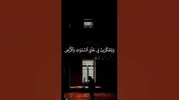 تلاوة عبدالباسط عبدالصمد #عبدالباسط_عبدالصمد #quran #قرآن #قران #تلاوة_خاشعة #قران_كريم #راحة_نفسية