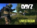 DayZ to start &amp; Prologue with @MollyMagoo  //  NEW Vid for MEMBERS up NOW: !perk !latest 06.06.2025