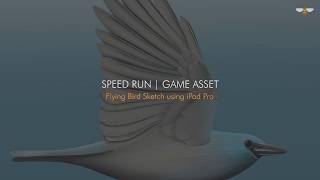 Speed Run | Game Asset Flying Bird Sketch