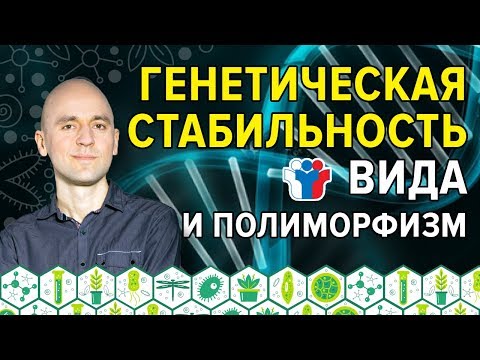 22. Генетическая стабильность вида и полиморфизм в ЕГЭ-2018