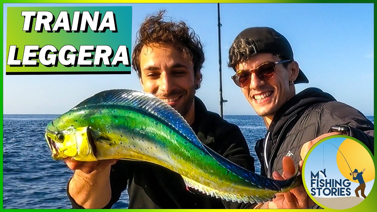 lasuroa 4pz Lampeggiatori da Traina, Esche da Pesca a Spinnerbait