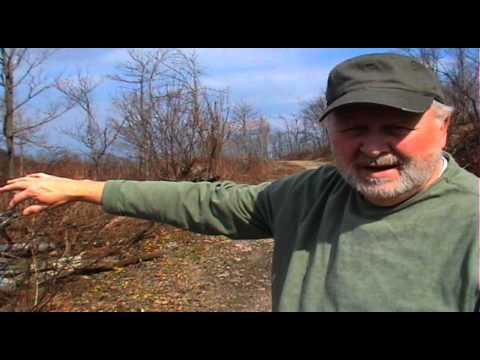 Stanley Stugill: Black Mountain and Mountain Top Removal