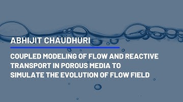 MODELING OF FLOW AND REACTIVE TRANSPORT IN POROUS MEDIA TOSIMULATE THE EVOLUTION OF FLOW FIELD