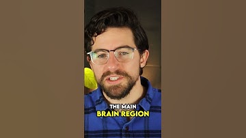 the human interoceptive