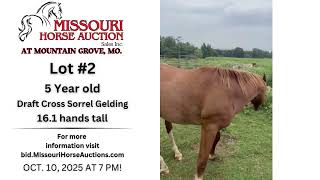 Lot #2 - OCTOBER 10TH, 2025; Mountain Grove, MO Sale