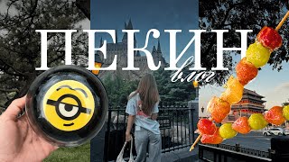 картинка: ПЕКИН VLOG 🇨🇳 Тяньаньмэнь | Universal park | Храм неба