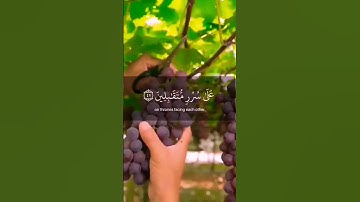 { ان المتقين في جنات وعيون } الآية 45 من سورة الحجر / القارئ هزاع البلوشي
