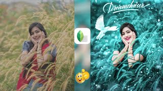 Snapseed green and Bird efect photo editing || Snapseed background Colour change photo editing screenshot 3