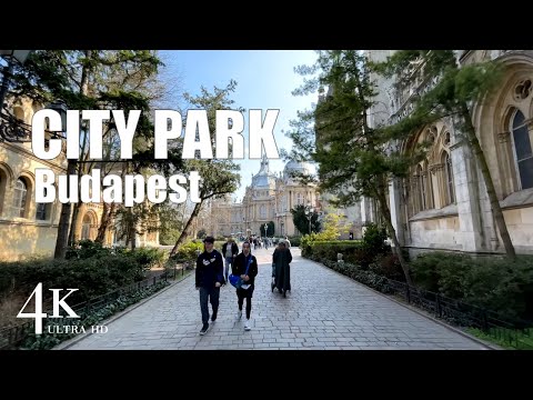 Video: Անելիքներ City Park թաղամասում