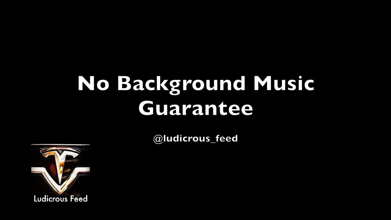 elon gold No Background Music Guarantee