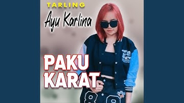 Paku Karat