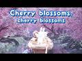 【Japanese traditional song】Cherry blossoms, cherry blossoms with English translation lyrics