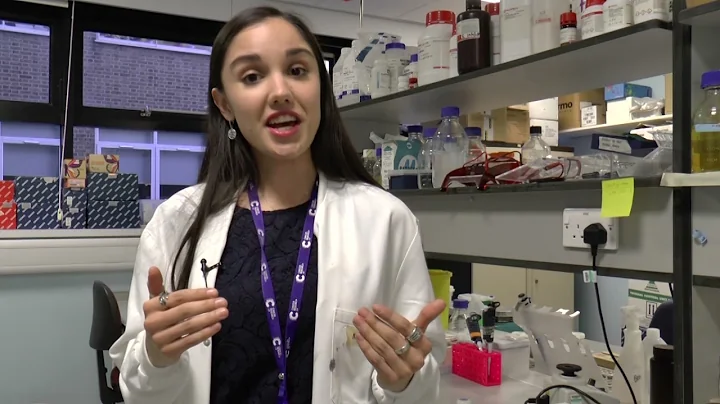 Harnessing the immune system to help the body fight cancer