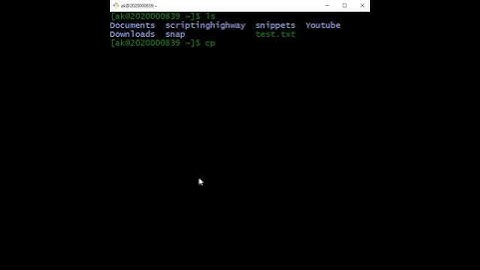 How to solve error while copy a directory in linux?