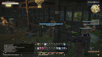 Final Fantasy XIV - Look at those bots