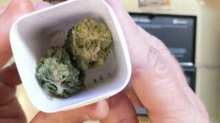 Formula 1 23% Liberty Health Sciences Eustis