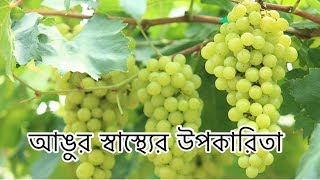 আঙর খওযর উপকরত Angur Khawar Upokarita Angur Er Gunagun