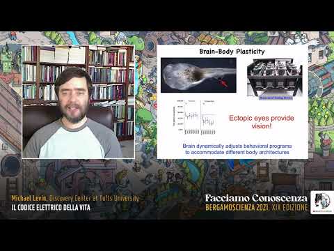 Video: Cos'è la bioelettricità in biologia?