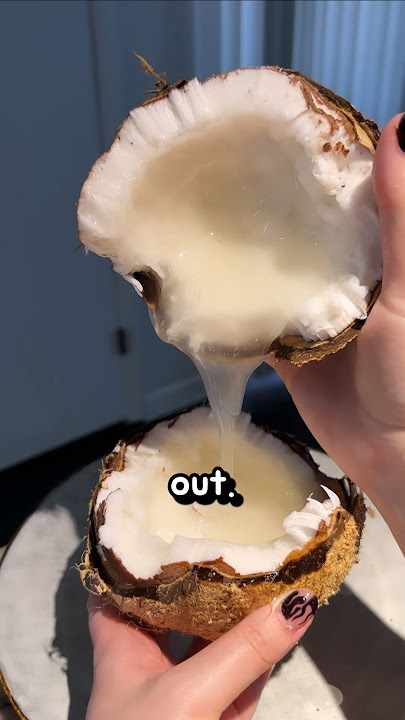 A Coconut So Rare, Only 1 in 1,000 Exist