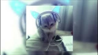 Download lagu the less i know the better - tame impala [sped up]