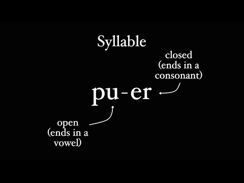 How Latin Does Syllables