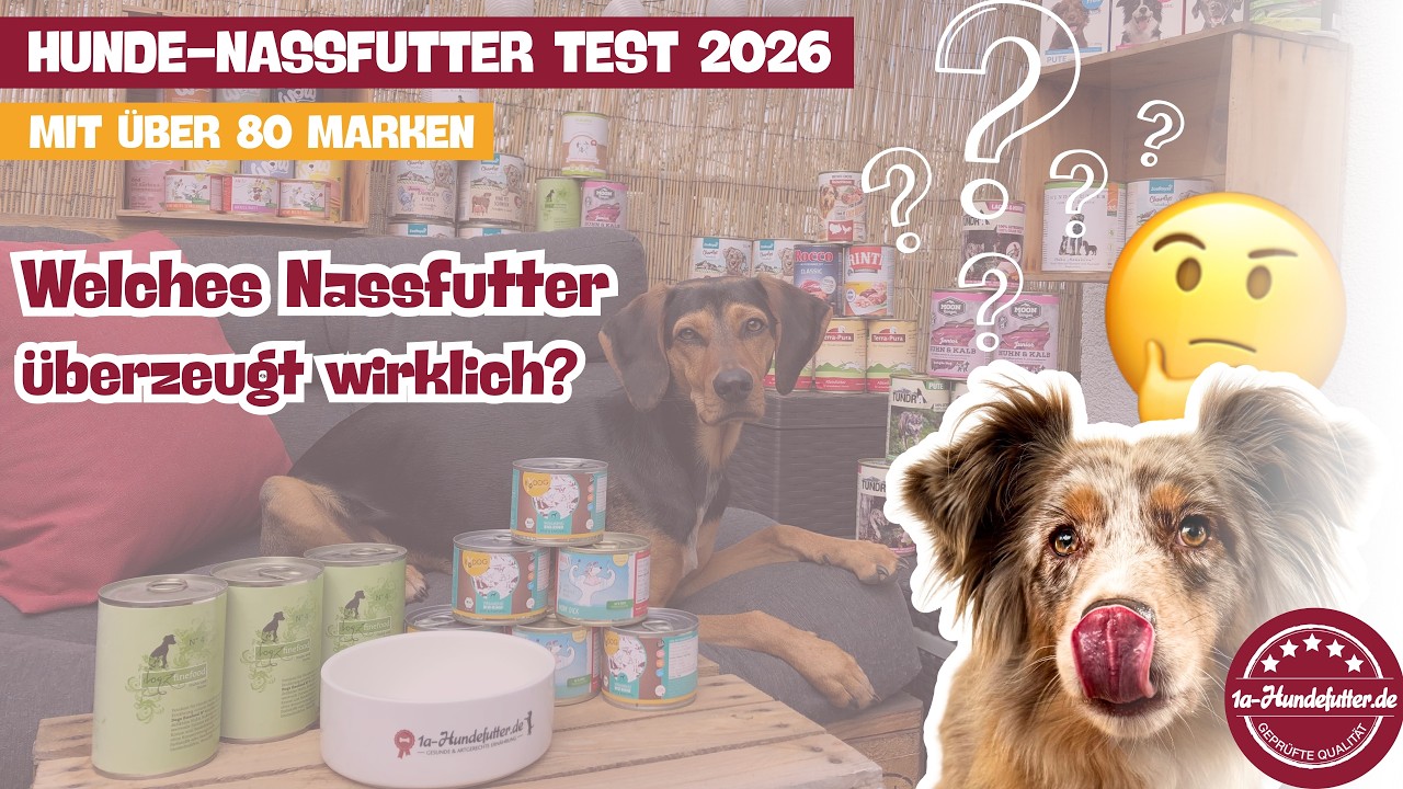Hunde-Nassfutter Test XXL 2026  Welches Nassfutter berzeugt wirklich?