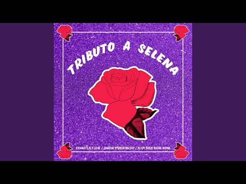 Tributo a Selena (Como la Flor / Amor Prohibido / Bidi Bidi Bom Bom)