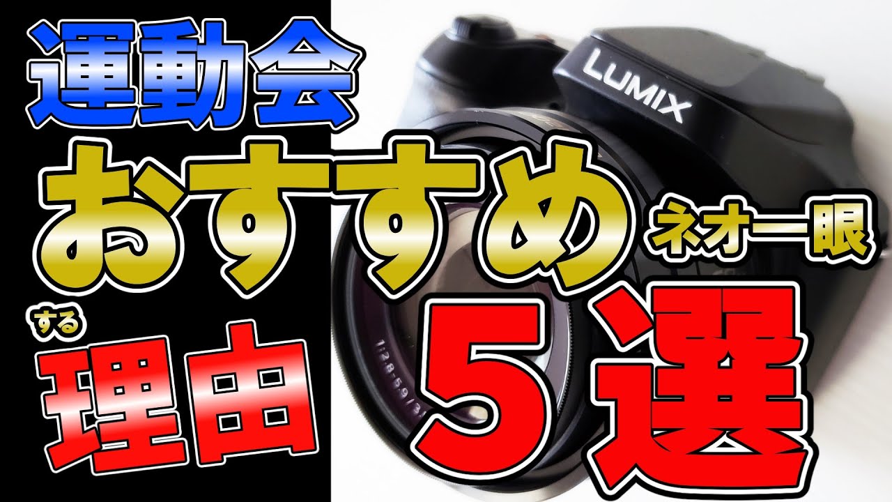 旅カメラに最適 4K動画も撮れる【Panasonic LUMIX DMC-FZ1000】 25