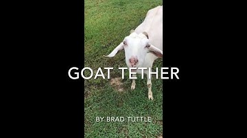 Goat Tether Quick Version