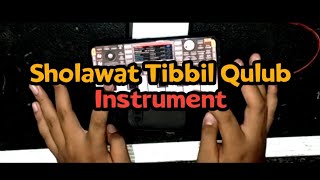 Tibbil Qulub Versi ORG 2022 Cover (Android Music) | Alwan Music screenshot 2