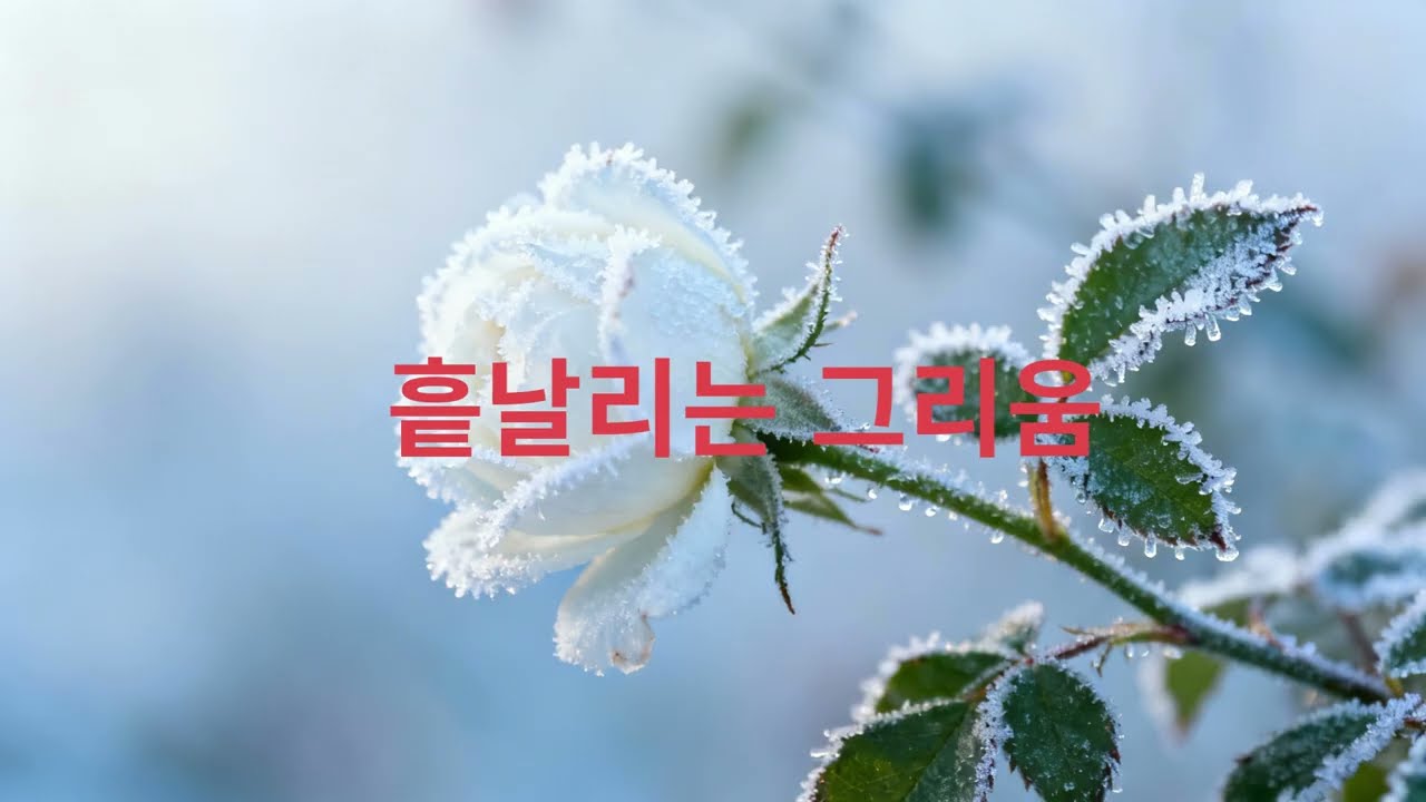 흩날리는 그리움