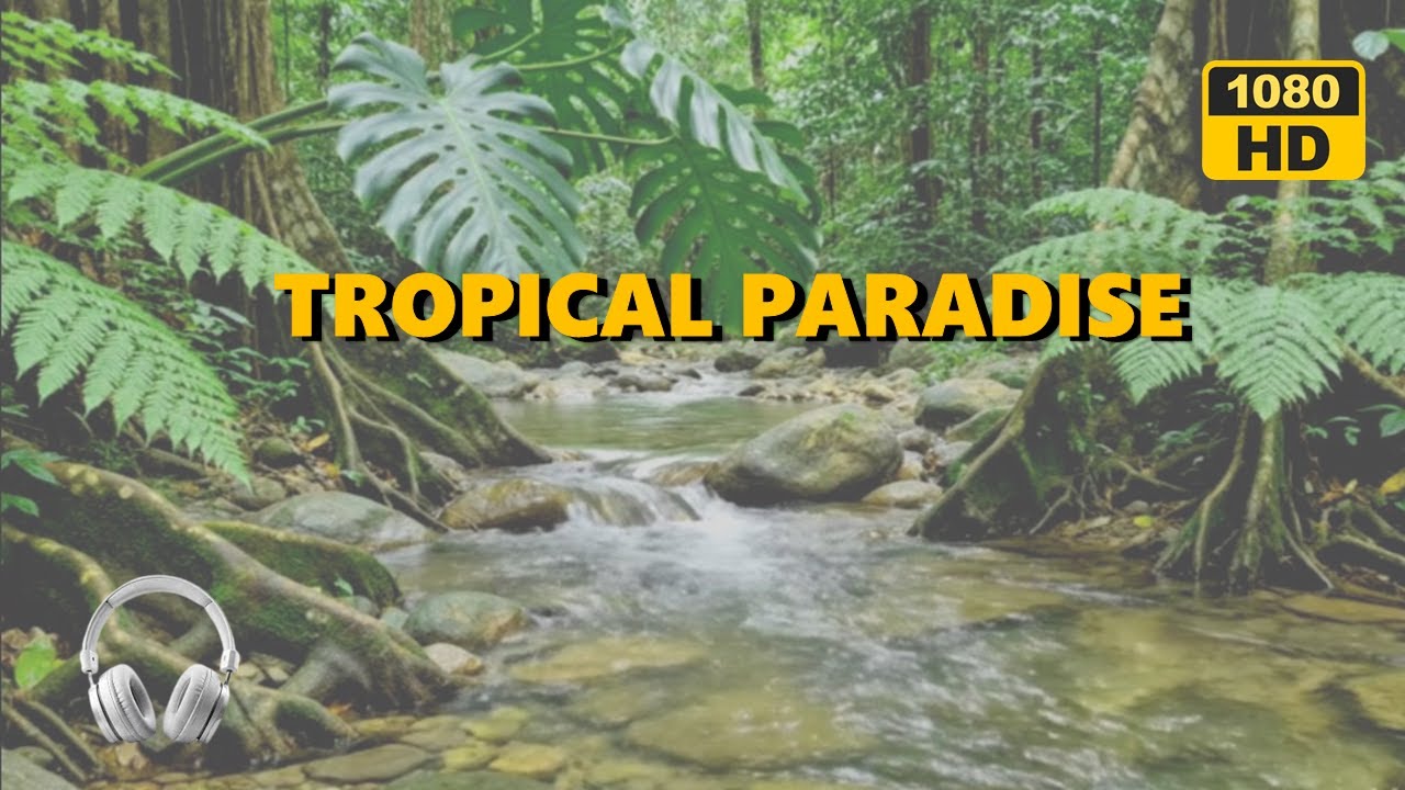 Serene Rainforest Stream with Wild Monstera Plants – Nature ASMR for Sleep, Relaxation, and Focus