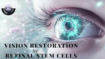 Restore Vision, No More Blurry Vision | Retinal Stem Cells (Morphic Field)