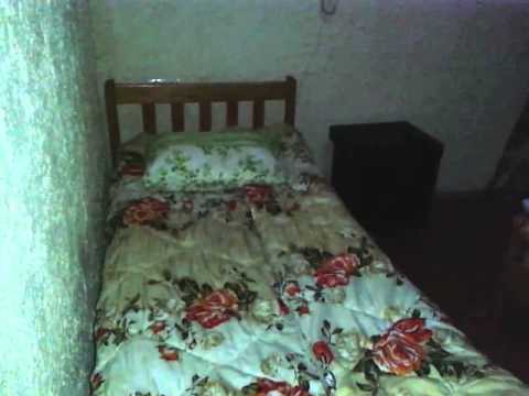 პირველი სართული 102