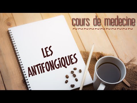 Les antifongiques #antifongiques