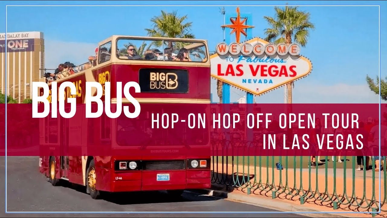 1 day bus tour from las vegas to los angeles