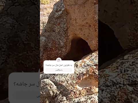 ببینید نماد پرنده ای که دم نداره از کجا ورودی داده فوق آموزشی آموزش گنج یابی سنتی دفینه یابی نماد