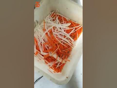 Carrot Shredder (Quick Dish-Presentation) - Forallism