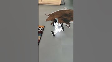 Got a flat tire#clicbot #funny #robot #racing #shorts #show #gasoline #sweet #cute #car #programming